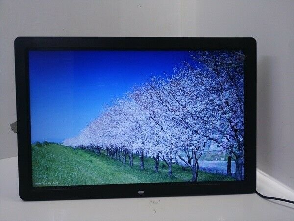 17" LED HD 1080P Digital Photo Frame Extended PC Monitor TFT Modules w Remote